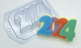 2024   пластиковая форма 1 шт