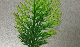Ветка -лист водоросли 1 шт